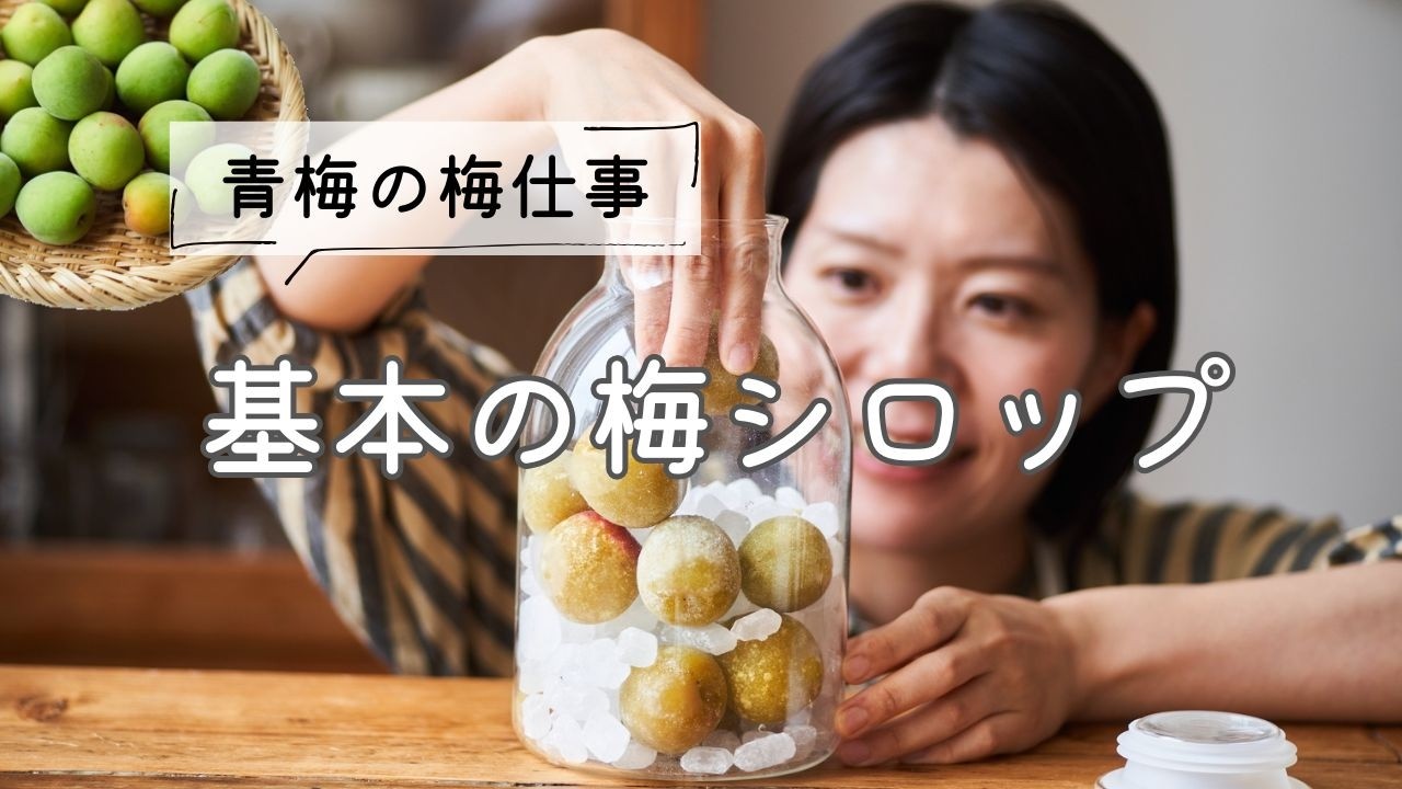 【青梅の梅仕事】基本の梅シロップのレシピ・作り方
