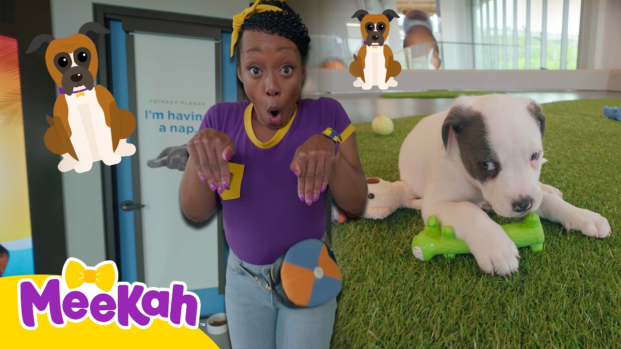 Meekah Makes a Fury Family! 🐶🦴 | Educational Videos for Kids | Blippi and Meekah Kids TV