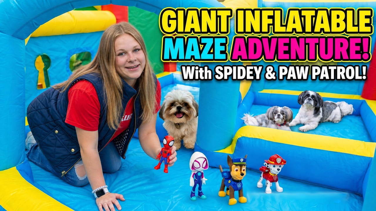 Assistant Find Wiggles and Waffles With Spidey and Paw Patrol