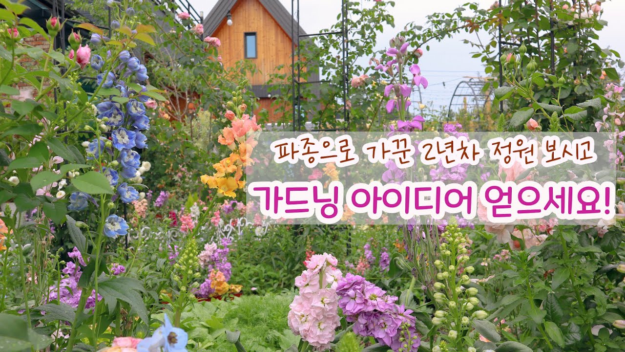 꽃씨 파종과 함께한 2년차 정원 랜선투어 I 가드닝 작업대 DIY만들기 I 유리온실 꾸미기