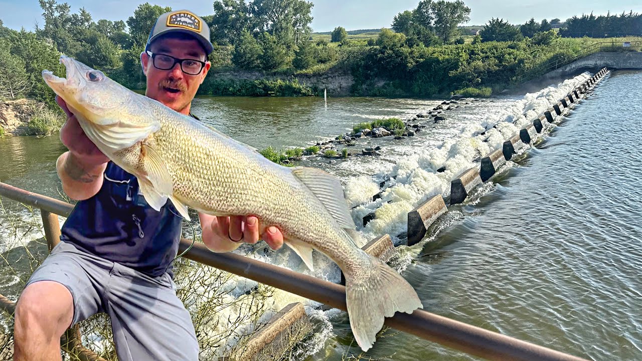 48 Hour Multispecies Spillway Fishing BEATDOWN!!! - 12 Species And A MONSTER