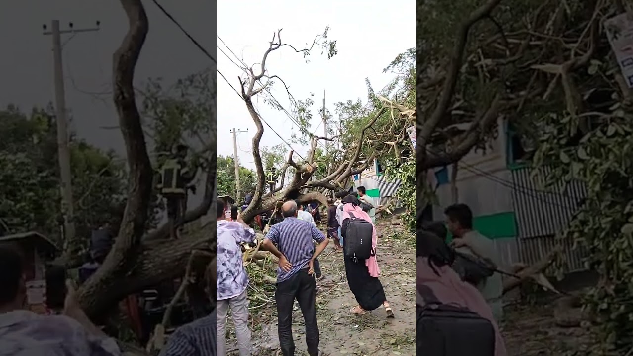 ঝড়ের তান্ডবে রাস্তার উপর গাছ পড়ে রাস্তা বন্ধ এবং আমাদের ফাইবার লিংক ডাউন