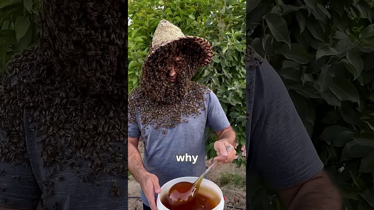 The Mistake Everyone Makes When Eating Honeycomb