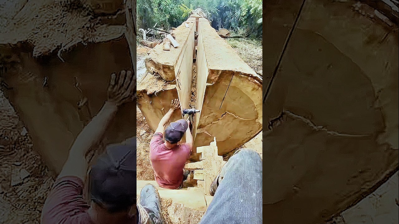 Small Tool vs Giant Log: The Power of Perfect Mechanical Leverage! #woodworking #pro #work #viral