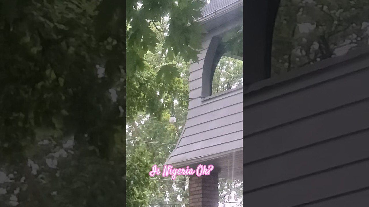 #fyp #🤭 #🤣 #rescuedog #nightmareneighbor #nigerianvisaholder #stalked #🤡 Filming fireworks for popo