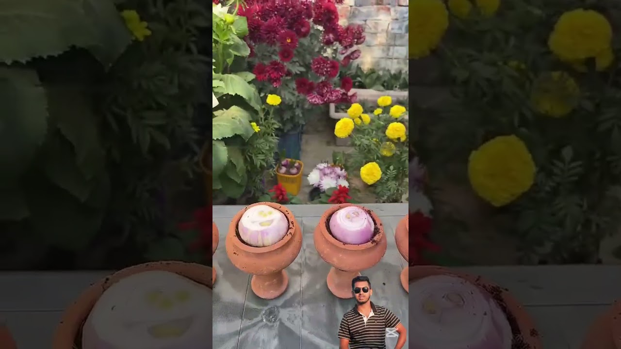আজ ছাদেই হচ্ছে পেঁয়াজের হাসি #gardening # onion #shortvideo #viralvideo #highlights #foryou