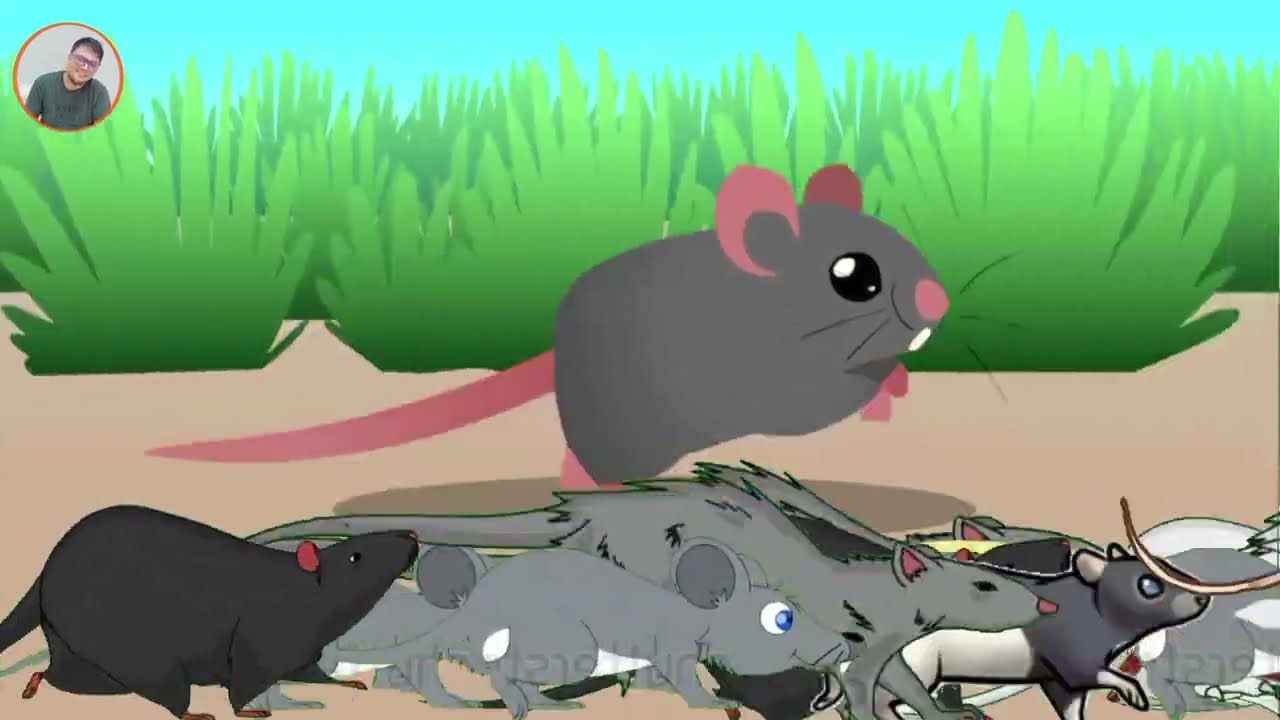Cartoon animals stampede : Rats ‼️