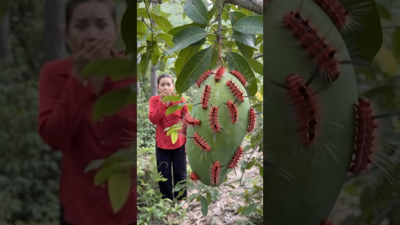 Survival Skills: Smart survival skills for everyday lite with mom#outdoors #idea #skills #survival