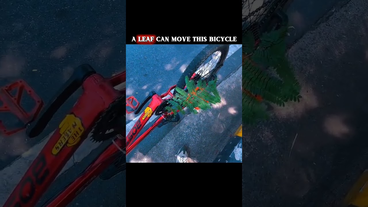 A leaf can move this bicycle #bicycle #shorts