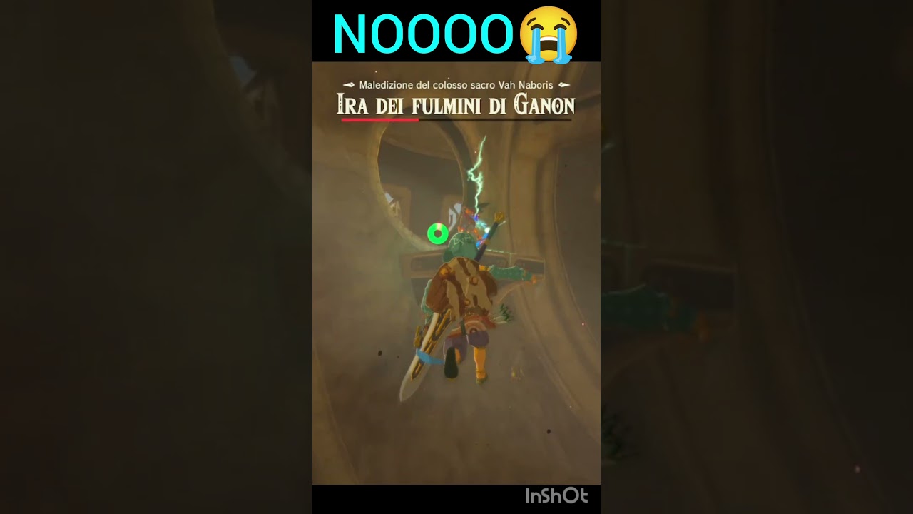 NOOOO😭     #zelda #botw #speedrun #glitchmoments