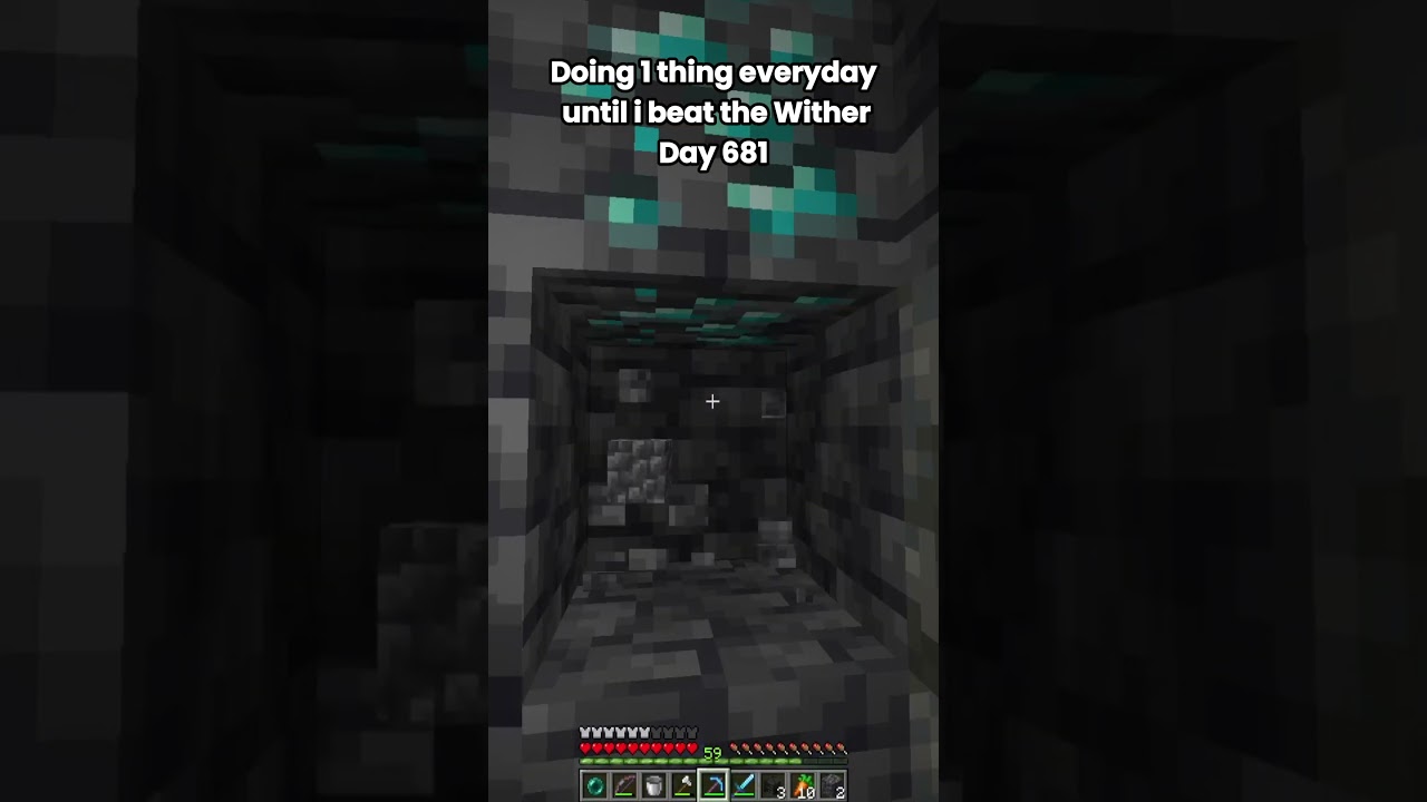 Day 681 Of Doing 1 Thing Everyday Until I Beat The Wither