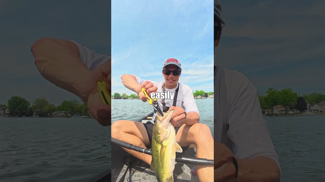 This Is How Pros Weigh Fish #Fishing #FishingVideos #FishingContent