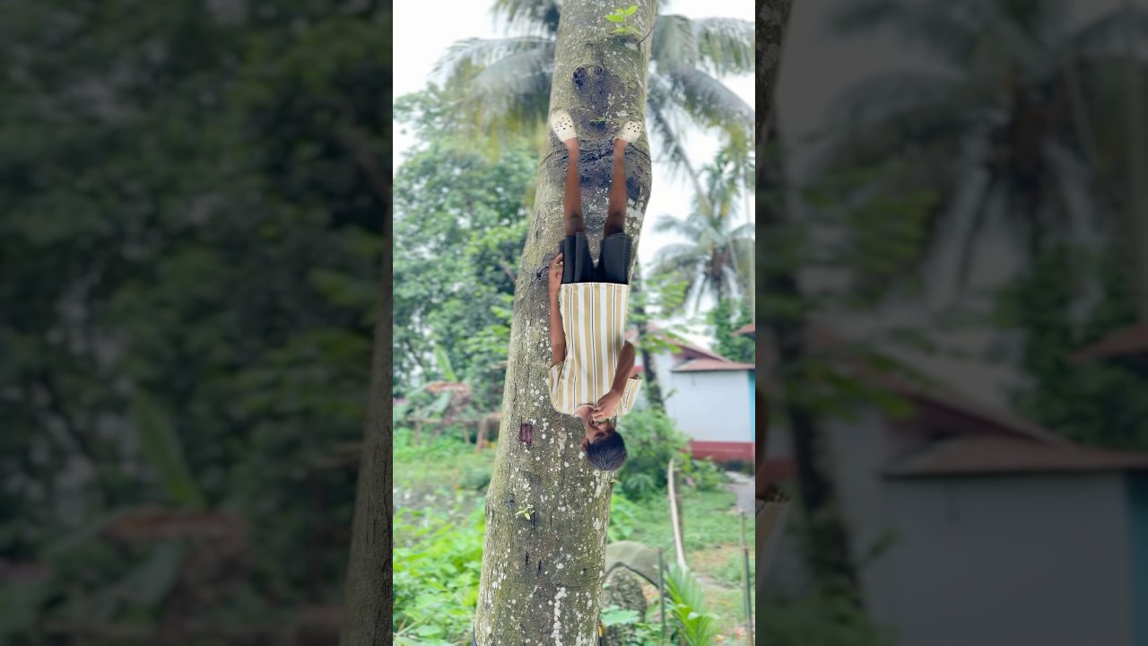উল্টো করা করলা ভুত 😱।#shorts #minivlog #vlog #shortsfeed #urnanu72 #dailyvlog #trendingvlog