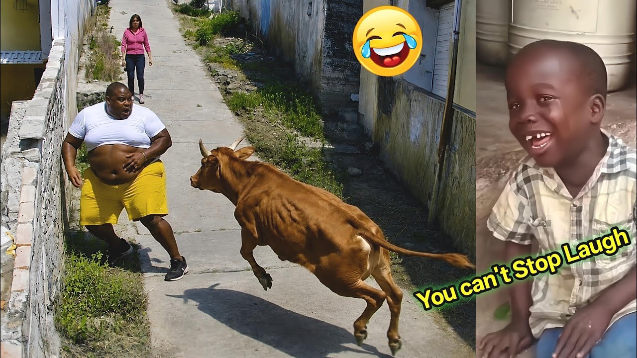 Very Very Funny Videos 2026😂 Try Not To Laugh Challenge😂 Top 100 Funniest Video 🤣 part 26