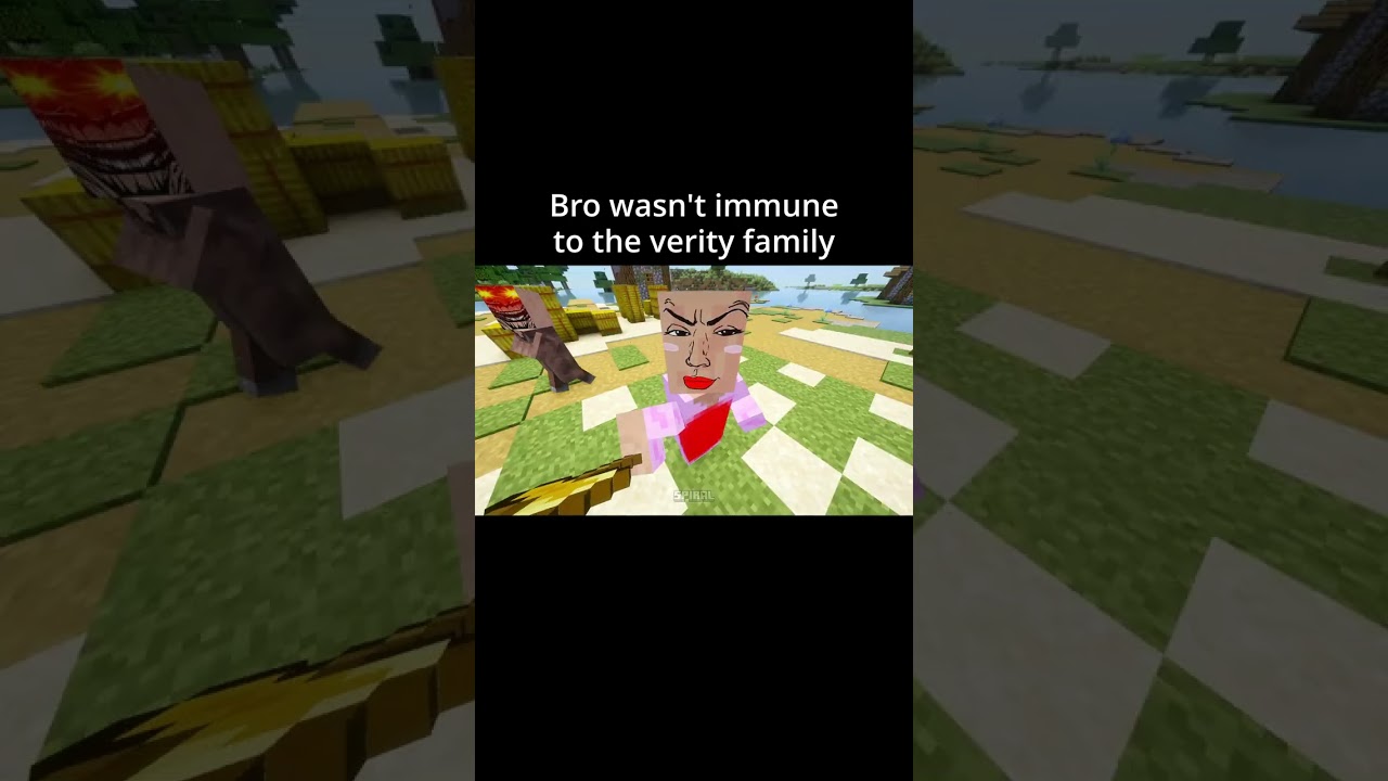 Minecraft Meme - Ultimate Villager SlapWar