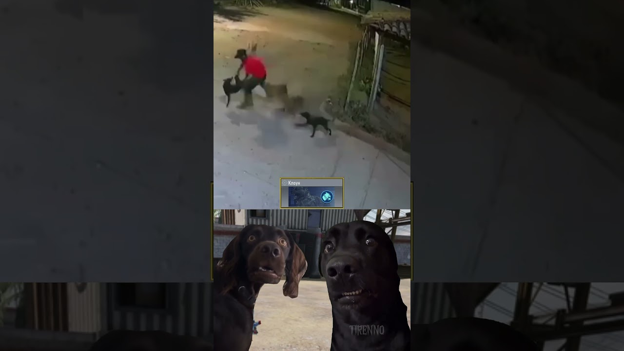 K9 UNIT in Call of Duty mobile #tirenno #codm #cod