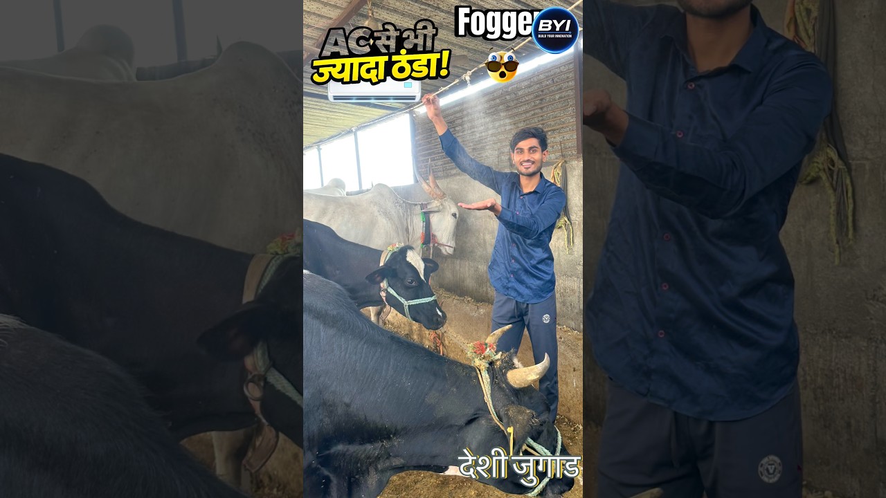 🥶AC से भी ज्यादा ठंडा! गायों के लिए देसी जुगाड़ 🐄 #diy #viralshorts #reels #desijugaad #fogger