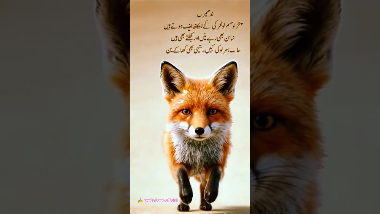 Urdu alfaz syeda bano official ✍️ k page sy #urduquotes #yourquote #myquote #statusquote