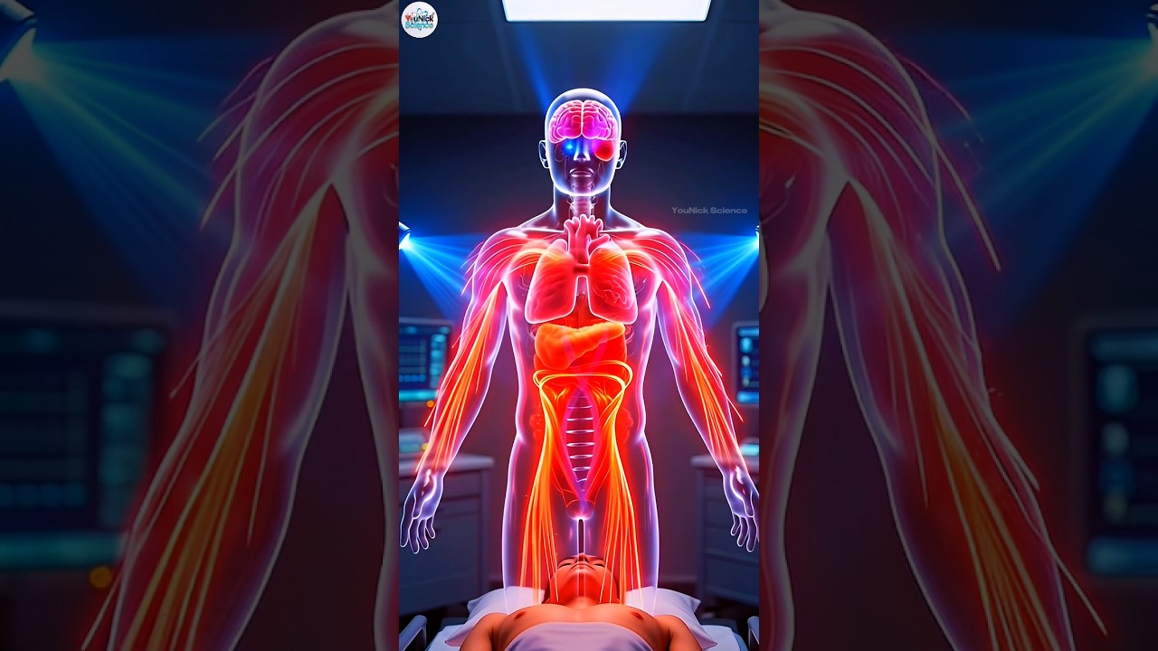When AI Replaced Human Surgeons in 2045