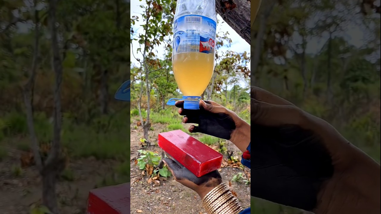 Survival Skills Mom Shows How to Make Soap and Water in forest #campping #outdoors #useful