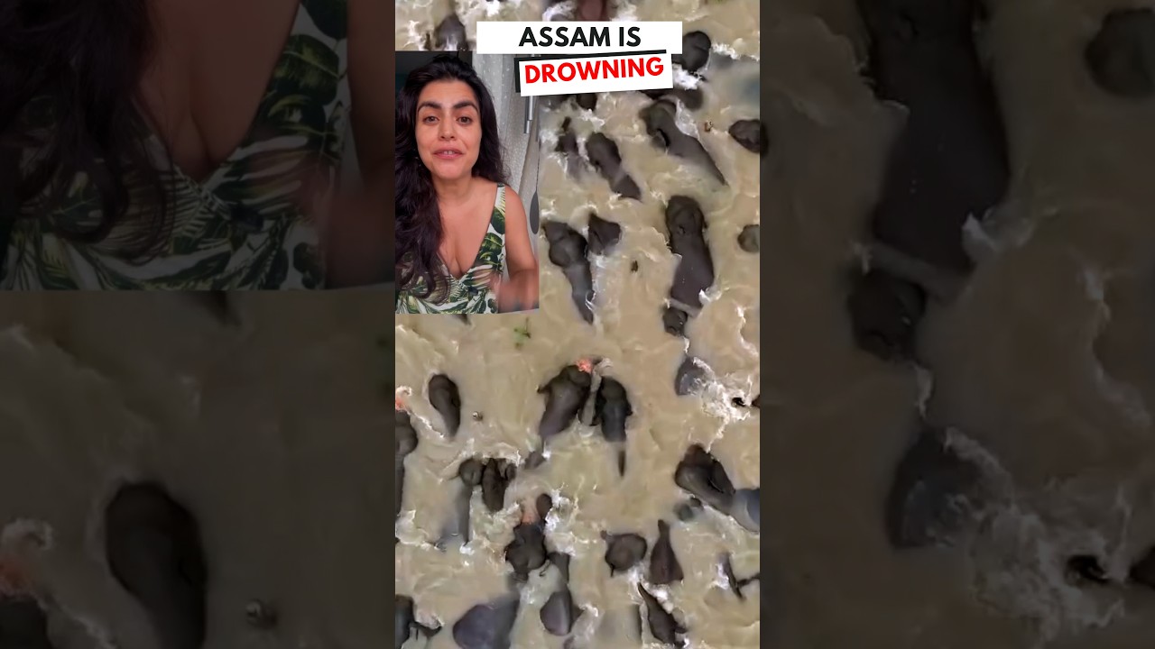 Assam Floods: The Heartbreaking Reality on Ground