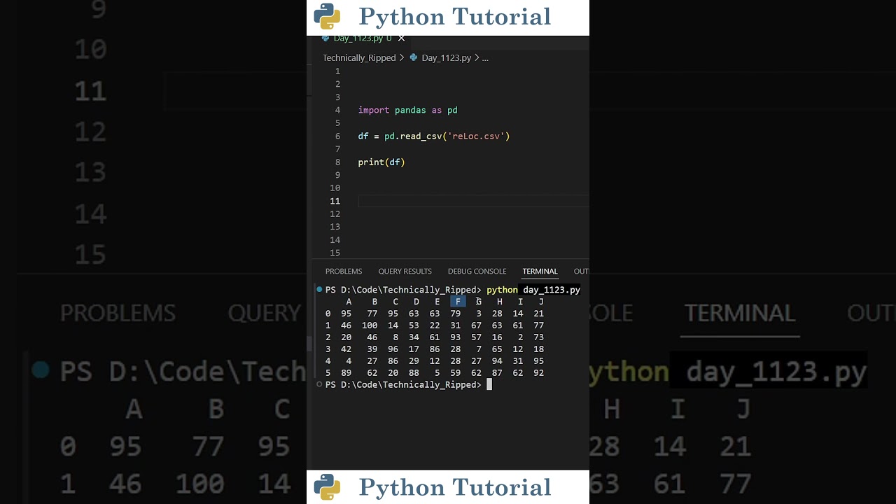 Subsetting Pandas Dataframes | Python Tutorial