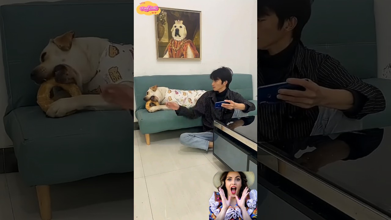 أخذ طعام الكلب فاستنجد بصاحبته😂#اكسبلور #funny #كوميديات #comedy