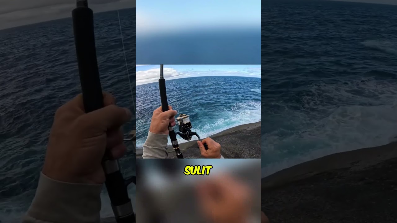 Demi Mancing, Pria Ini Turun Tebing 100 Meter Tanpa Takut Mati!  #fishing #treasuresearch