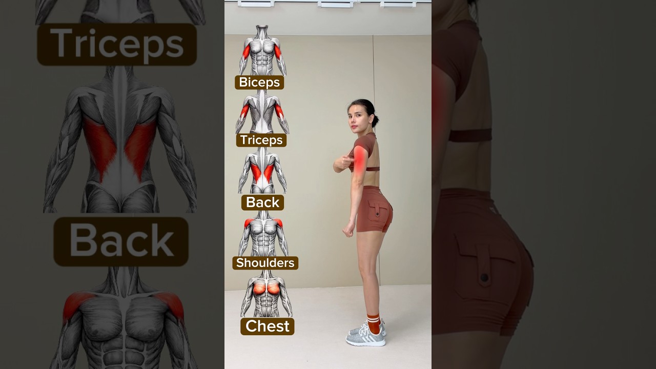 upper body exercises #workout #abs #homeworkout #backworkout