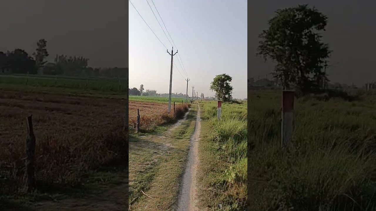 knowledge koi na #minivlog #modernfarmer #vlog #villagelife #agriculture #foodindustry #automobile
