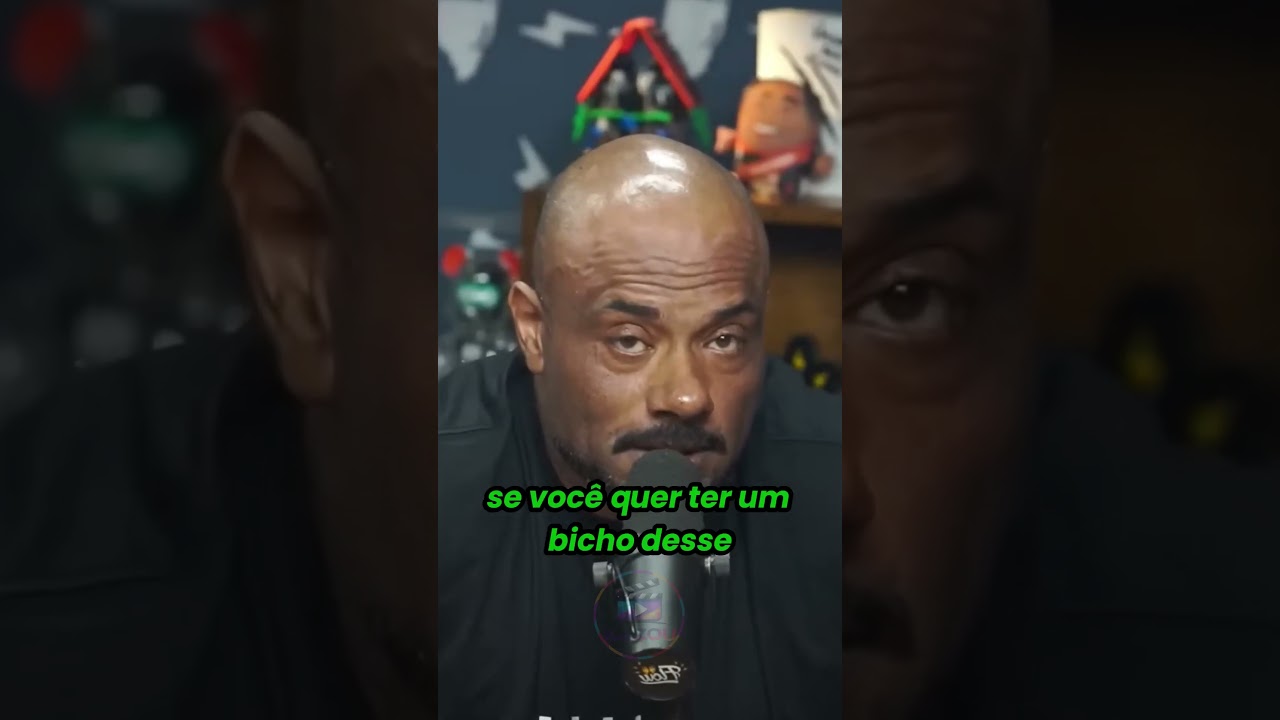 CUIDADO ao QUERER um BICHO!  #cortes #podcast #animal
