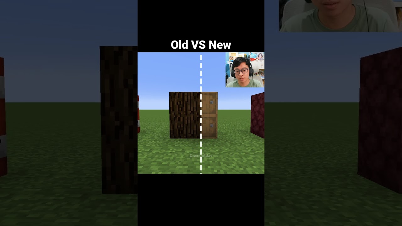 Minecraft Old VS New Blocks Moment