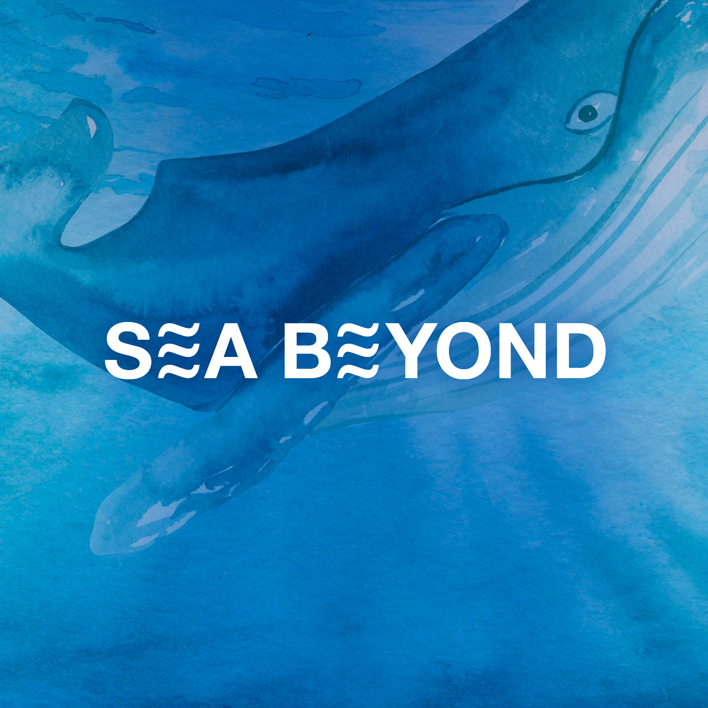 【SEA BEYOND】对话马伊琍、乔方利｜留给孩子的海，从我们这代开始