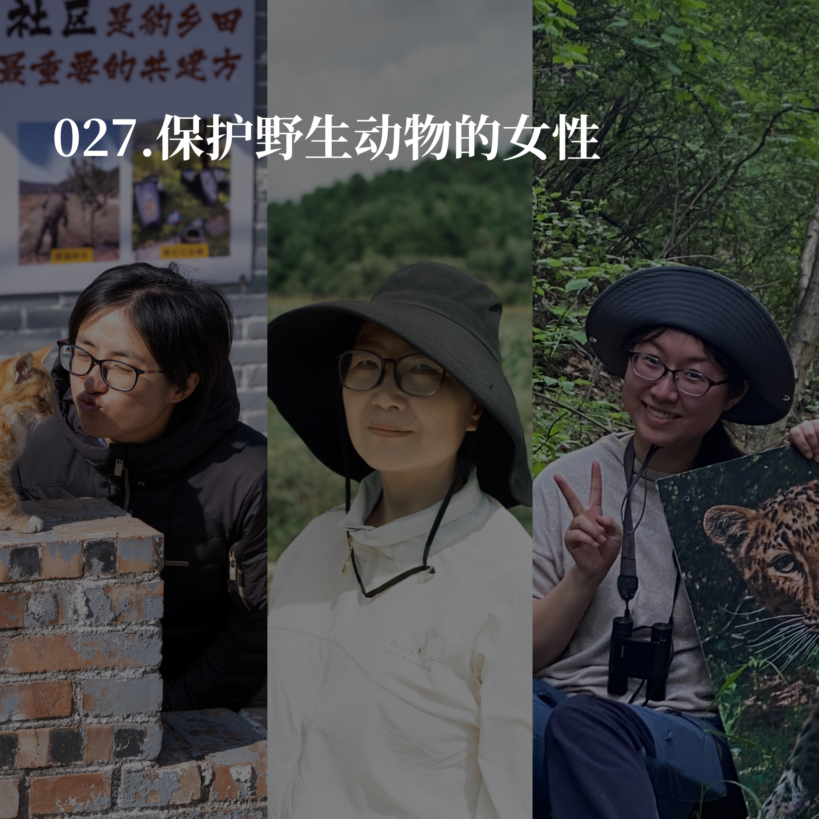 027.保护野生动物的女性：2025年的身心俱疲和充满希望的瞬间