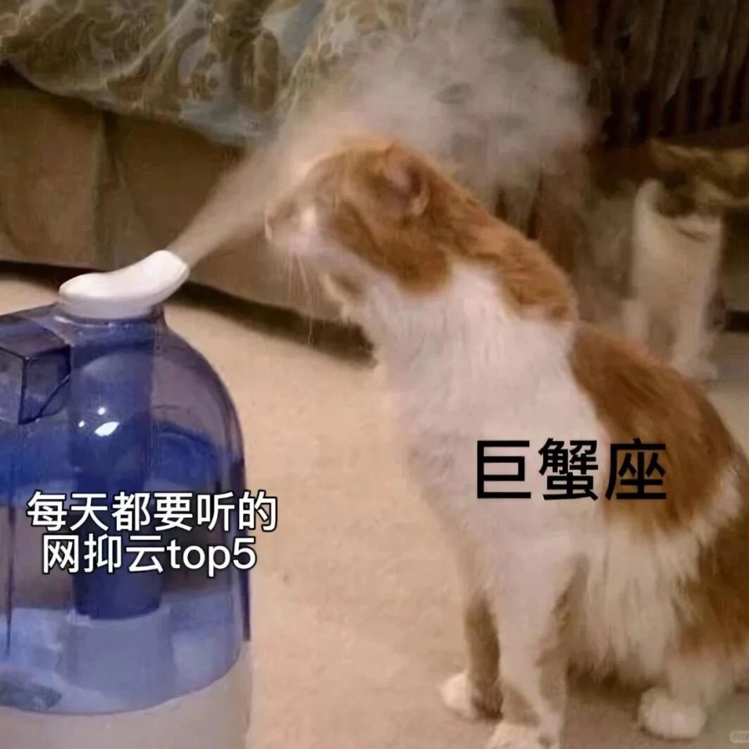 别猜了真的很累！巨蟹座才是顶级“白切黑战神” | EP 53