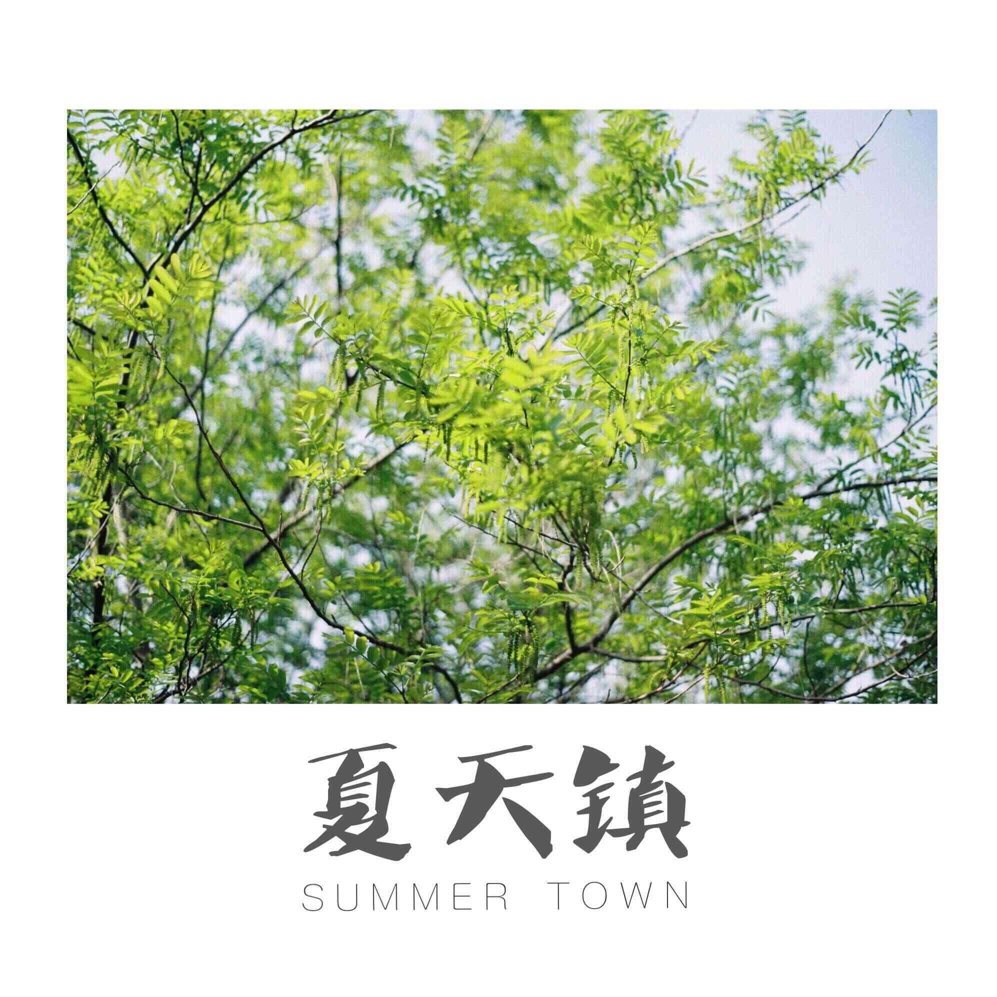 å¤å¤©é•‡ SummerTown