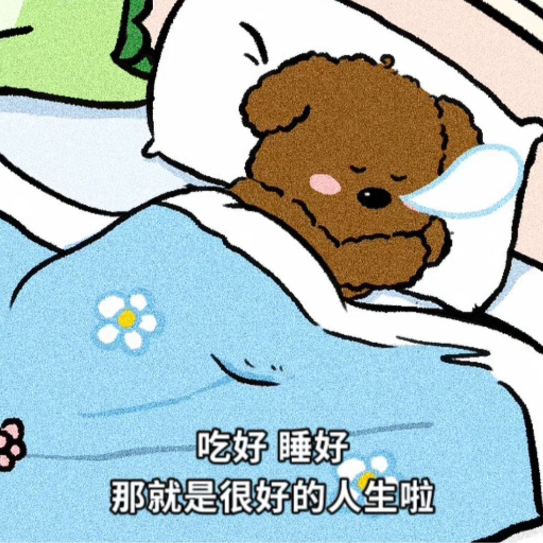 28 任师傅的好物分享（第四弹）