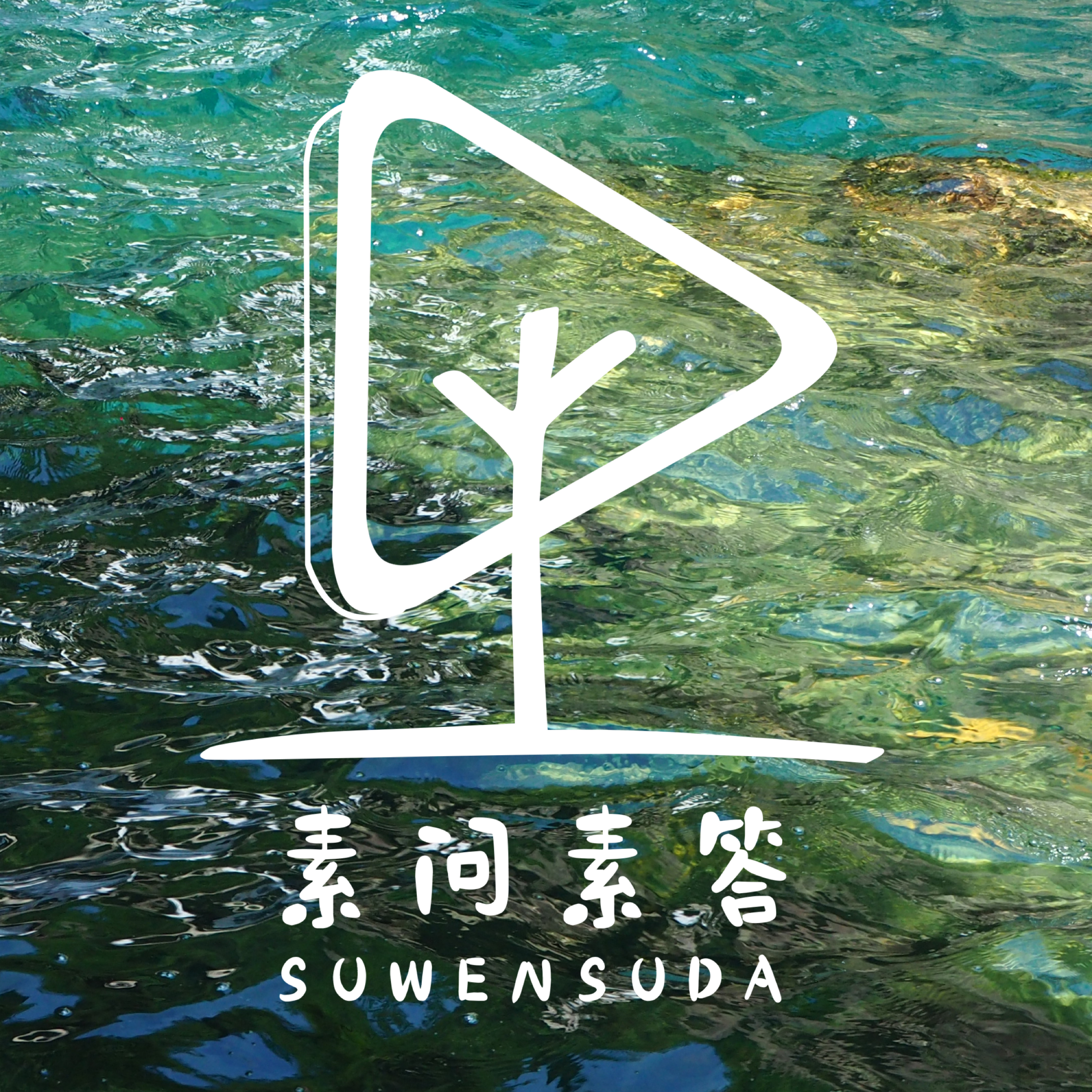 ç´ é—®ç´ ç­”