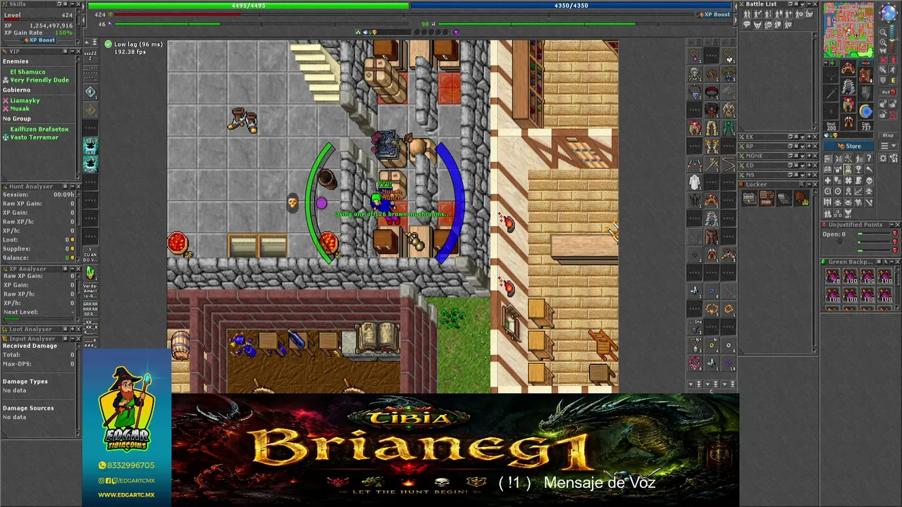 Begr / TIBIA / OPULERA