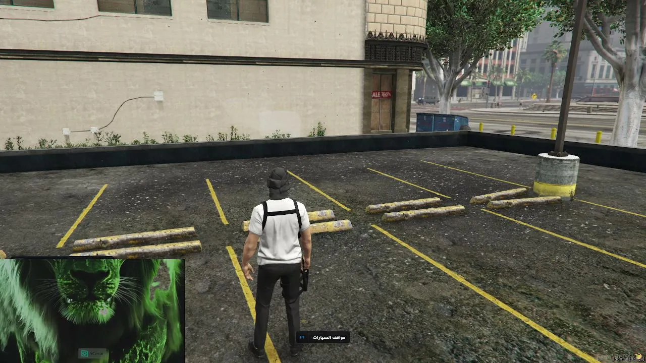 My first stream.