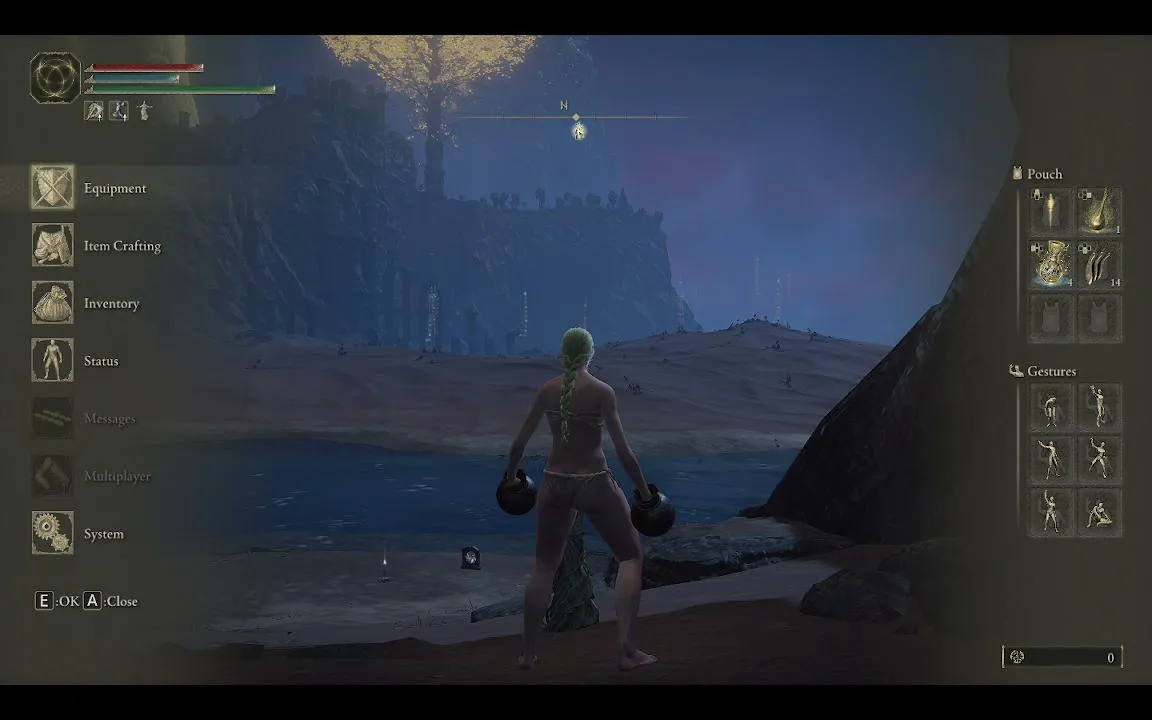 My first stream. elden ring no hit run training