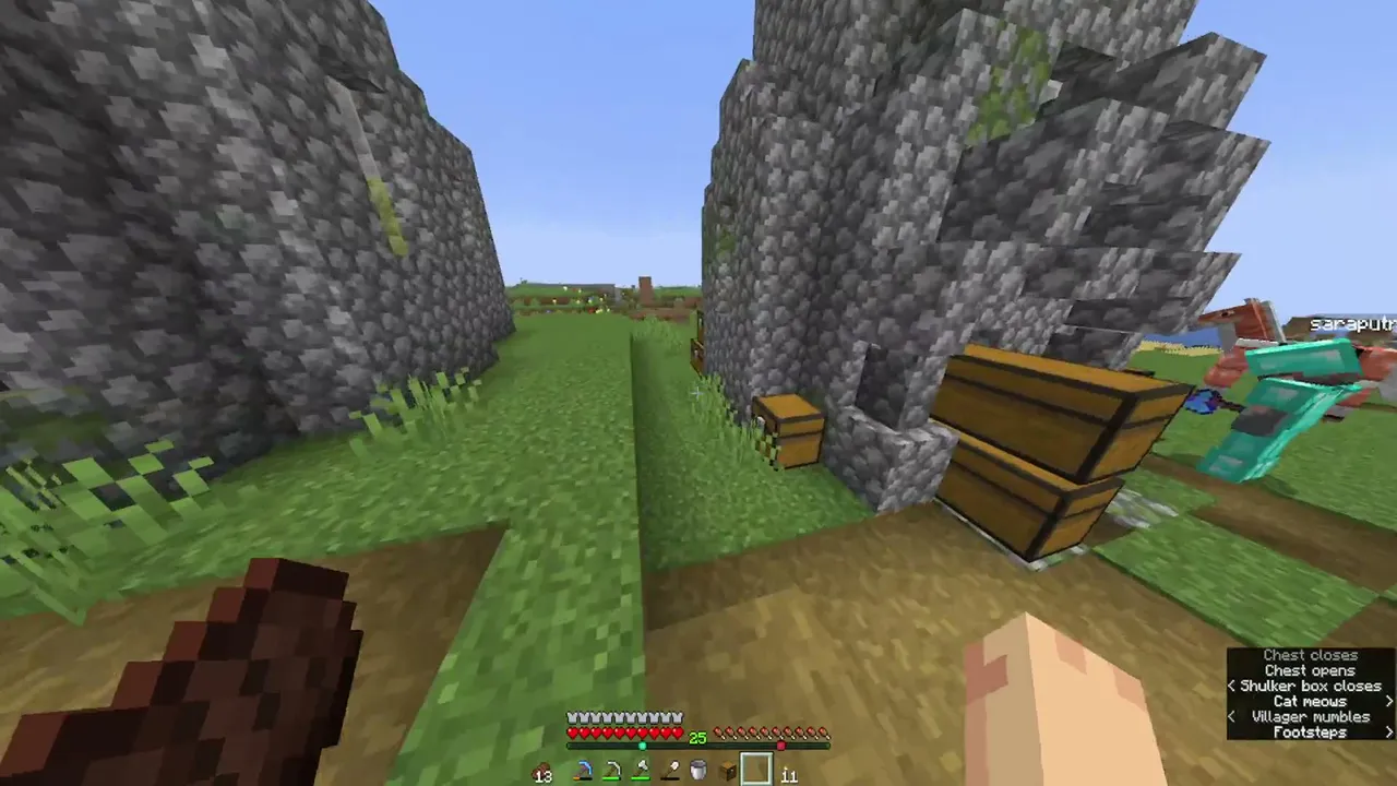 Minecraft Chempaign