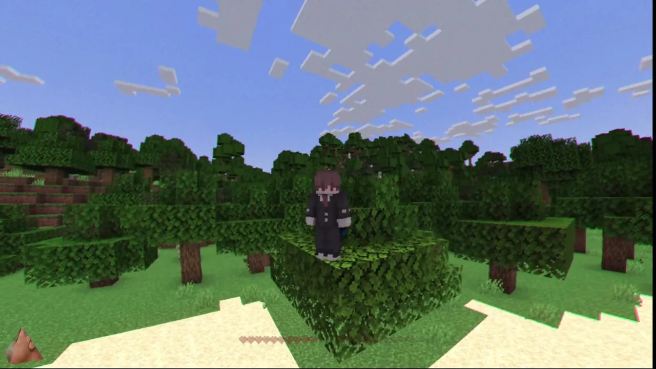 CHUNK = BIOMA DISTINTO