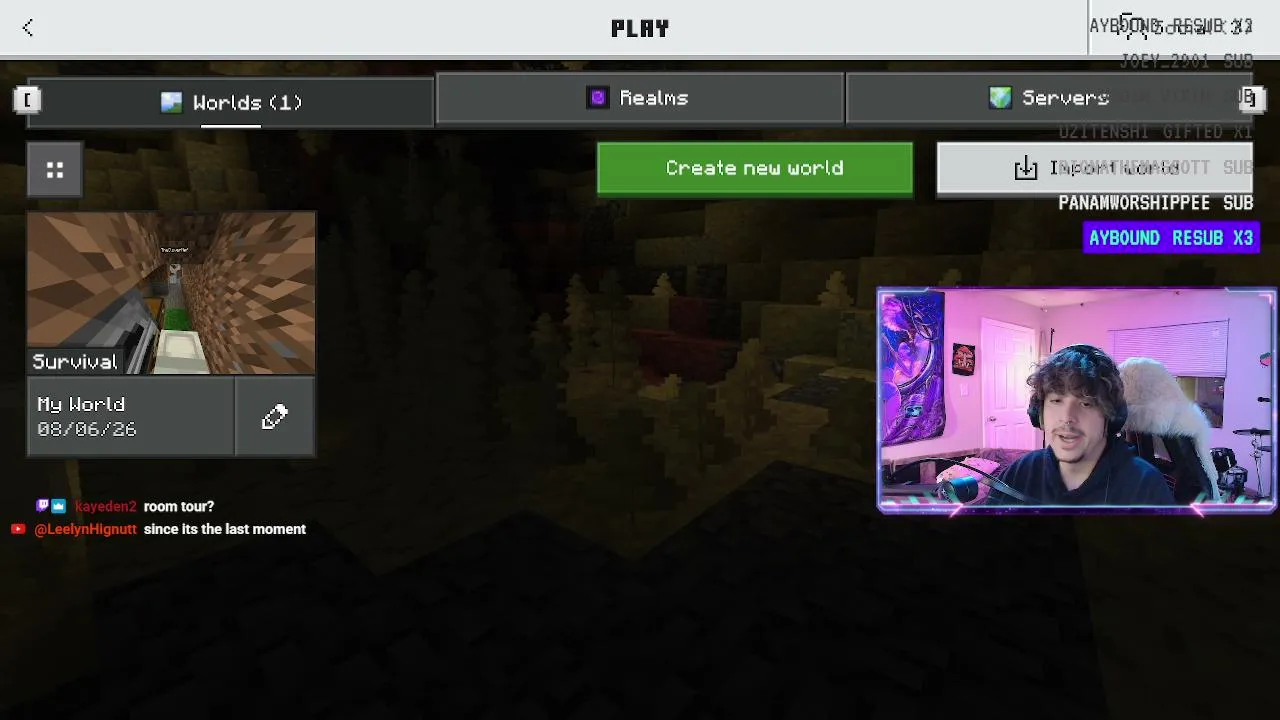 minecraft with my gf