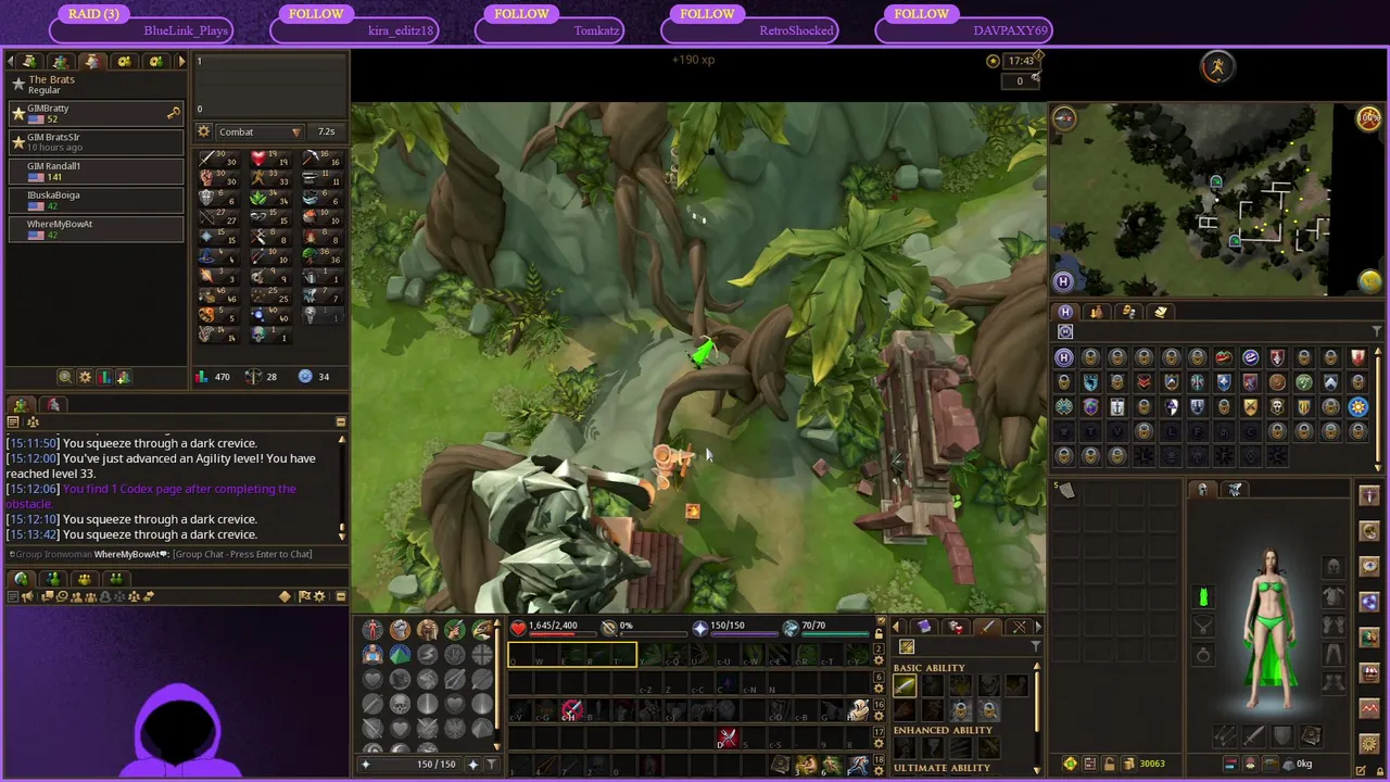 Group Ironman For A Bit | !commands