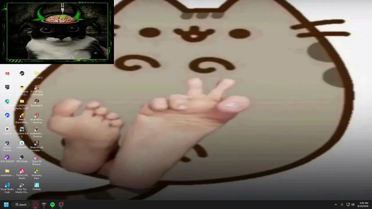 ola chat