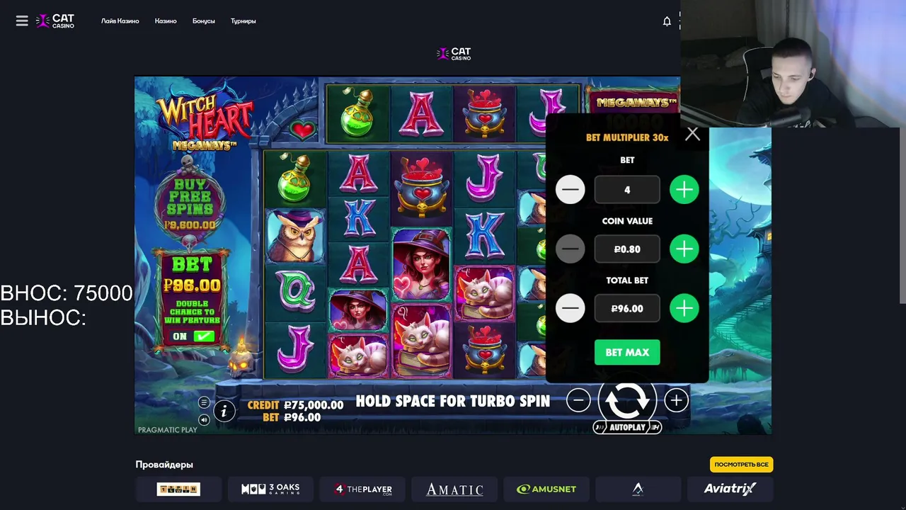 👑🦝 Забив с CATCASINO на 70 косых! Сегодня точно удача улыбнётся 🦝👑