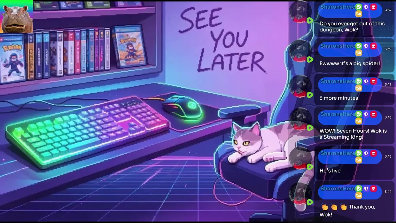 Gaming  and chatting with Wokko