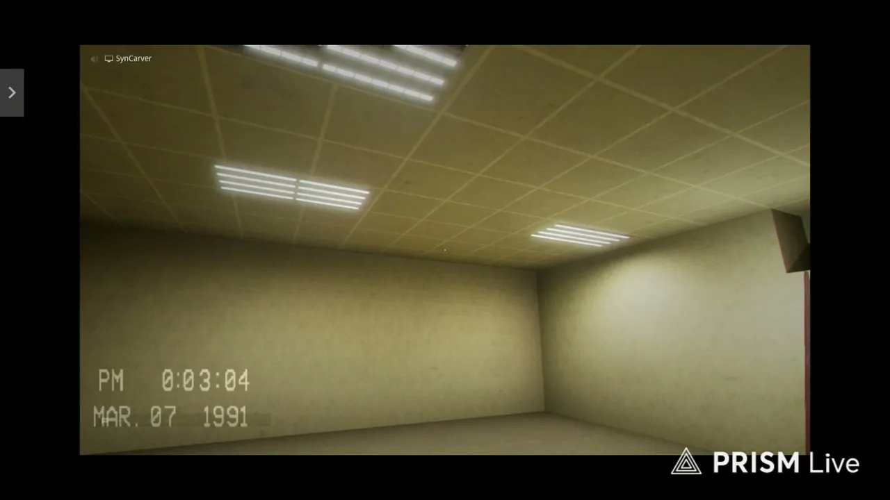 Live streaming of SynCarver