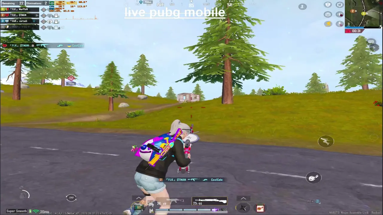 pubg